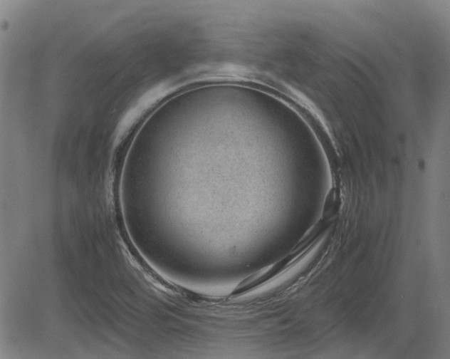 X0000083581464200702091106