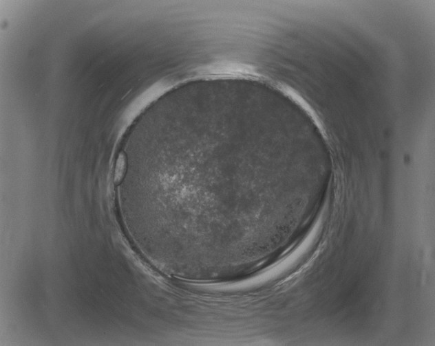 X0000083581469200702091106