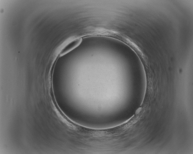 X0000083581479200702091106