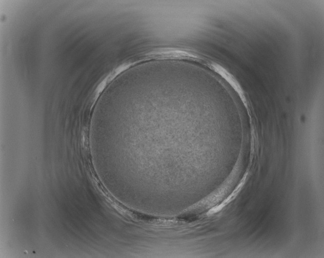 X0000083581481200702091106