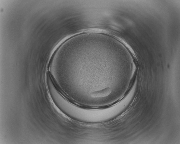 X0000083581484200702091106