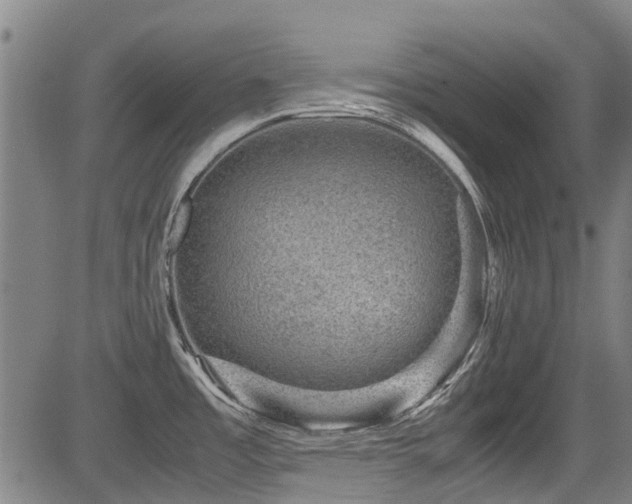 X0000083581485200702091106