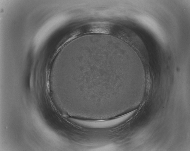 X0000083581487200702091106