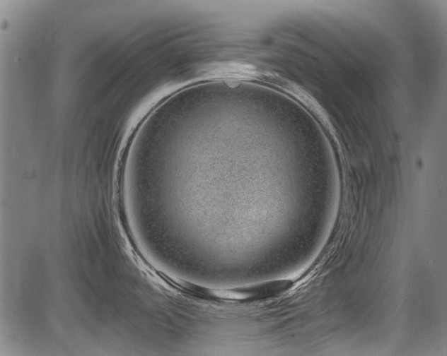 X0000083581488200702091106