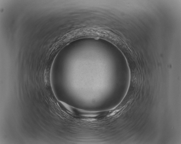 X0000083581490200702091105