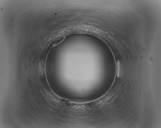 X0000083581491200702091105