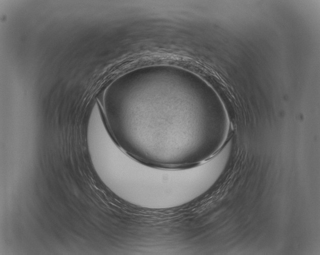 X0000083581492200702091105