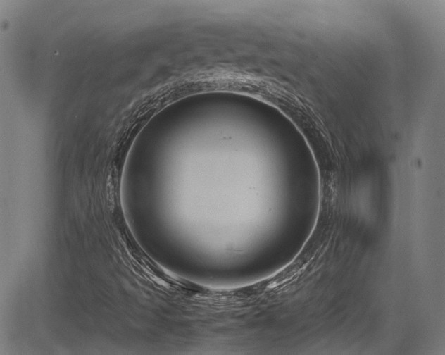 X0000083581493200702091105