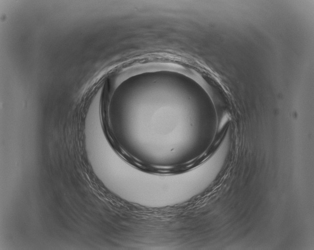 X0000083581496200702091105