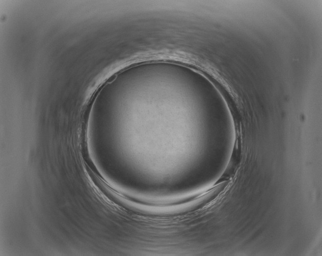 X0000083581500200702091105