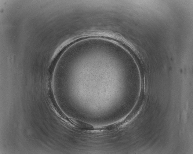 X0000083581501200702091105