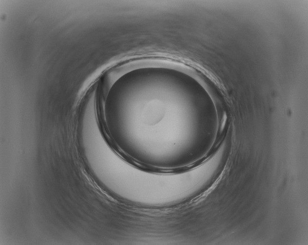 X0000083581502200702091105