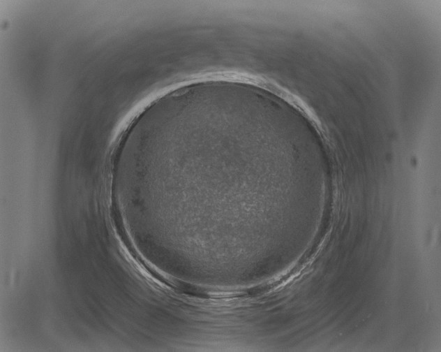 X0000083581504200702091105
