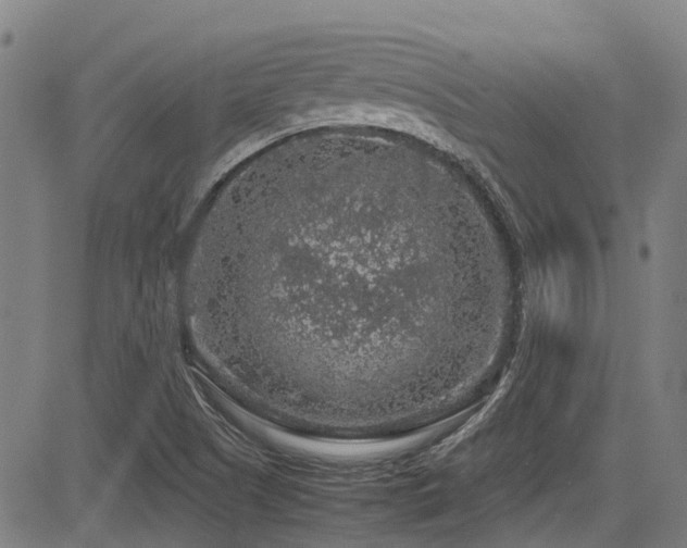 X0000083581505200702091105