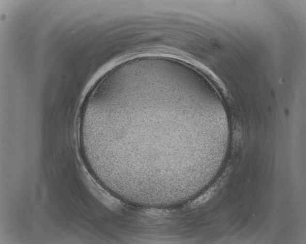 X0000083581514200702091106