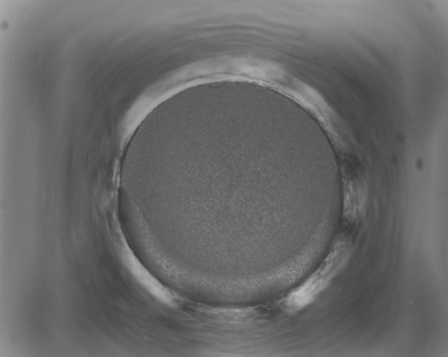 X0000083581524200702091106