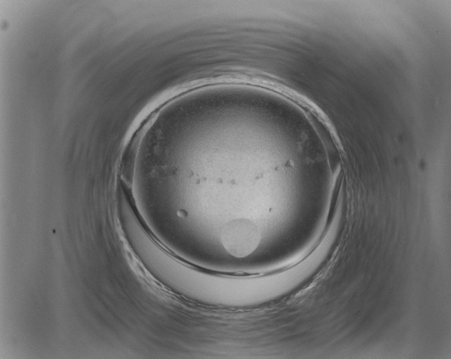 X0000083581530200702091106