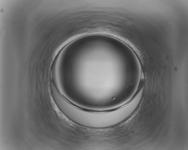 X0000083581534200702091106