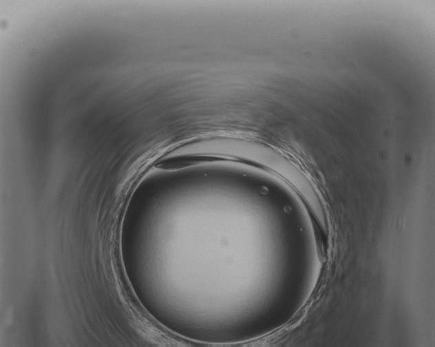 X0000083580001200702162129