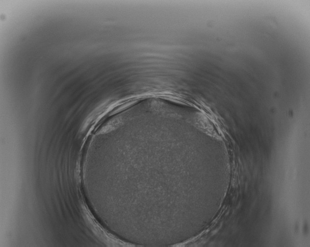 X0000083580002200702162129