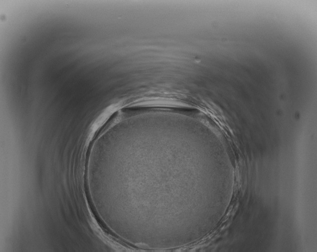 X0000083580003200702162129