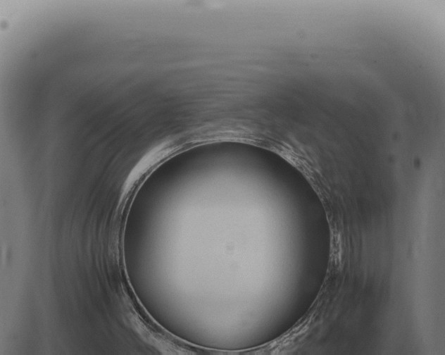 X0000083580004200702162129