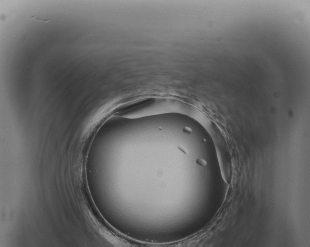 X0000083580005200702162129