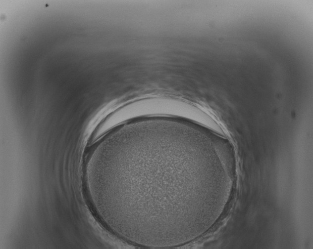 X0000083580007200702162129