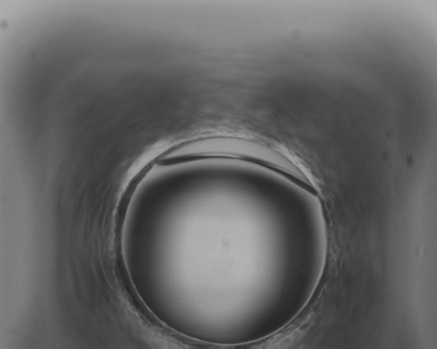 X0000083580008200702162129