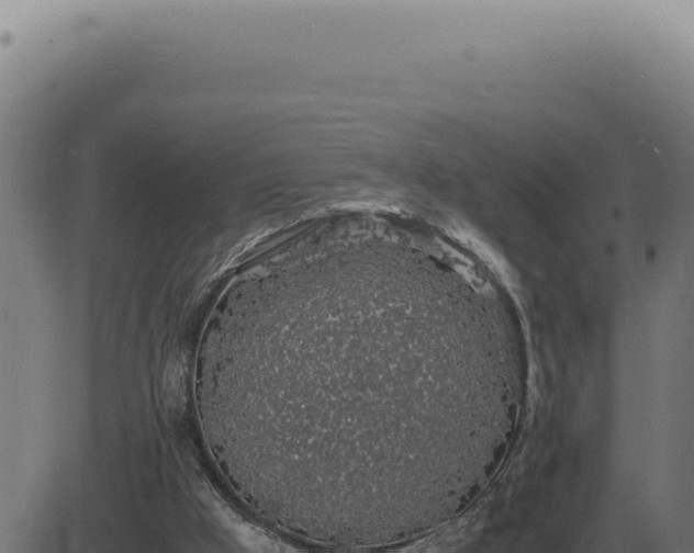 X0000083580009200702162129