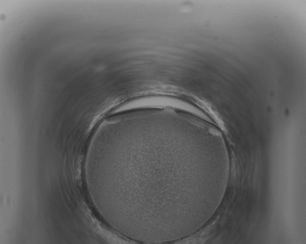 X0000083580010200702162129