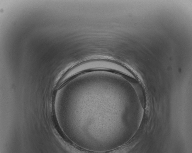 X0000083580015200702162129