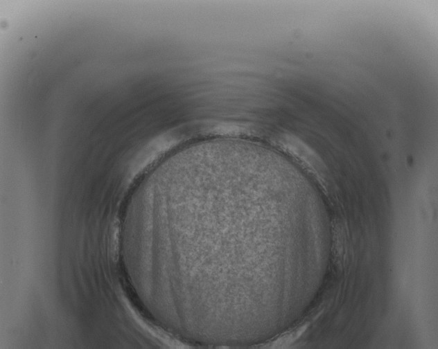 X0000083580016200702162129