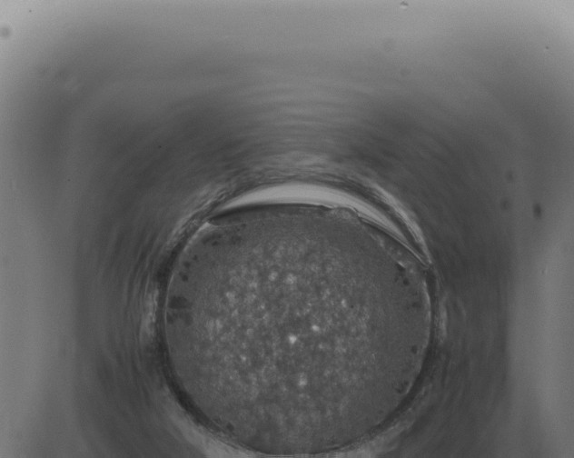 X0000083580018200702162129