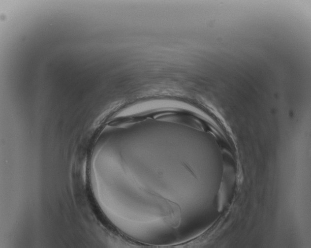 X0000083580019200702162129