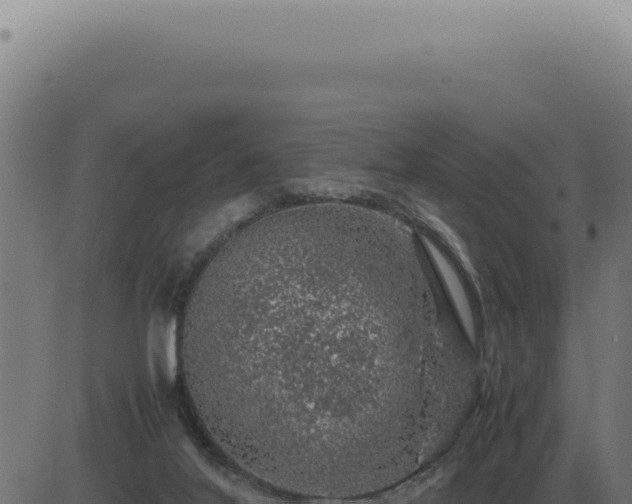 X0000083580020200702162129