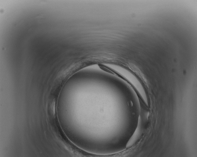 X0000083580021200702162129