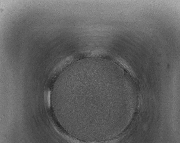 X0000083580022200702162129