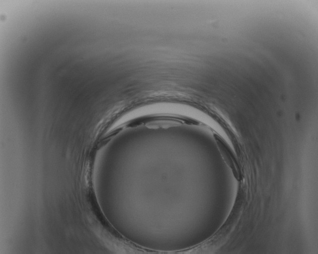 X0000083580023200702162129