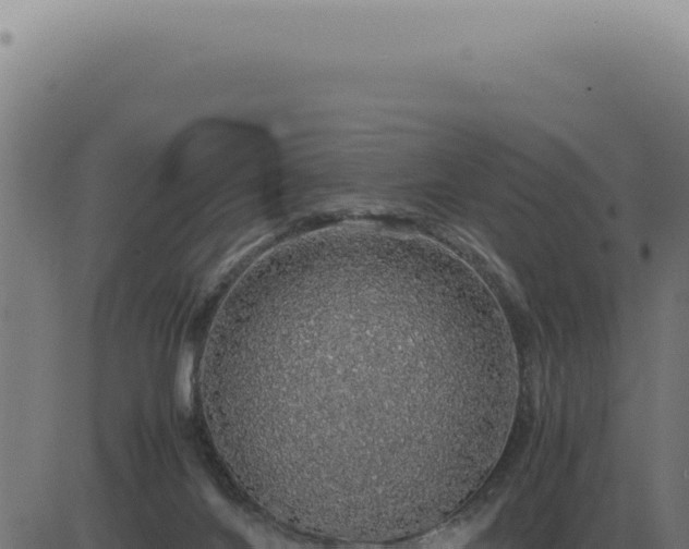 X0000083580024200702162129