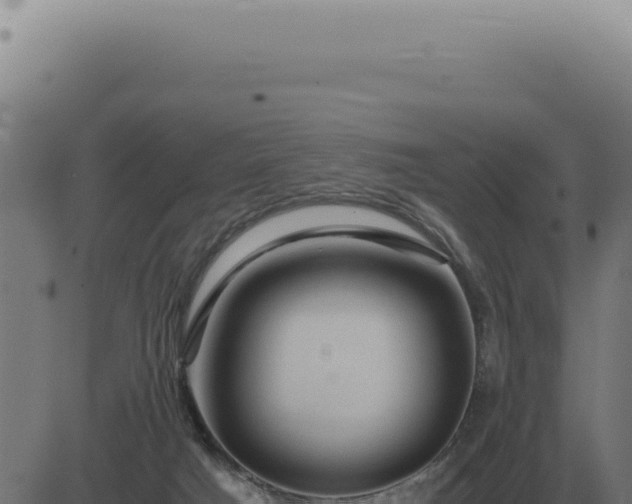 X0000083580025200702162129