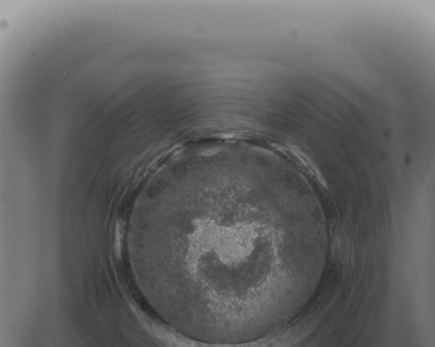 X0000083580026200702162129