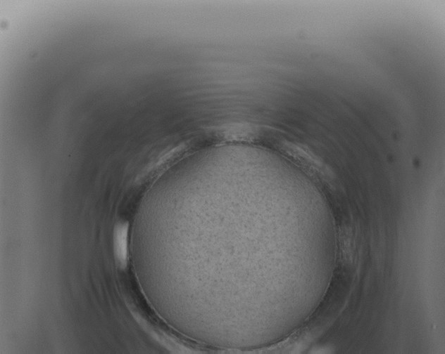 X0000083580028200702162129