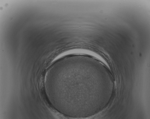 X0000083580029200702162129