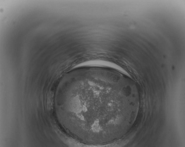 X0000083580030200702162129