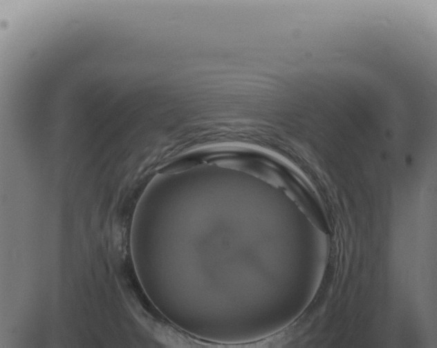 X0000083580031200702162129