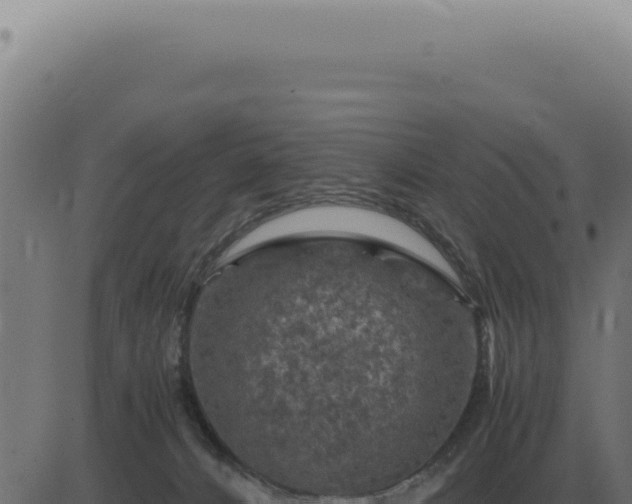 X0000083580032200702162129