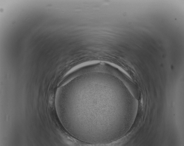 X0000083580033200702162129