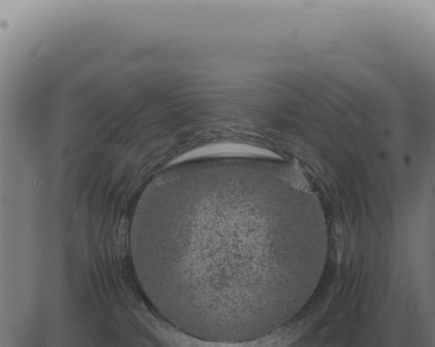 X0000083580034200702162129