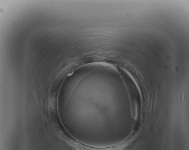 X0000083580035200702162129